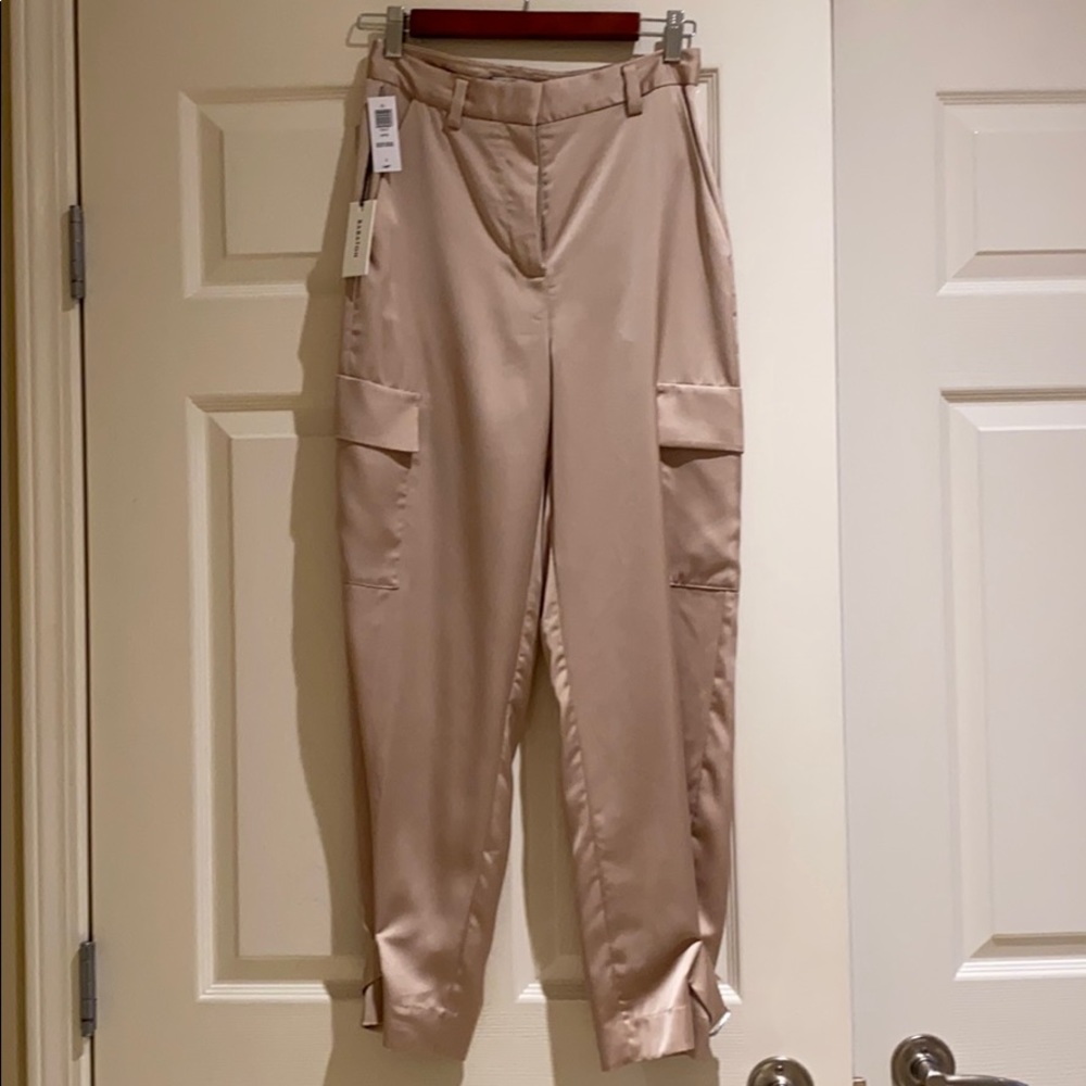 Aritzia Babaton Lato Pant